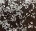 PolyAzin-MB02-15                                                                               